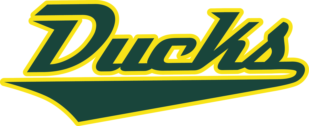 Oregon Ducks 2013-Pres Wordmark Logo diy DTF decal sticker